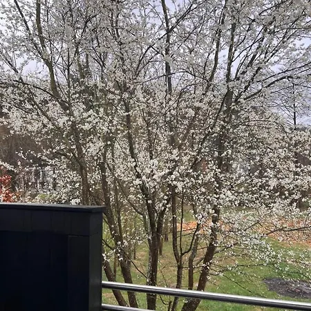 Gaestehaus Sille In - Holpe Prázdninový dům