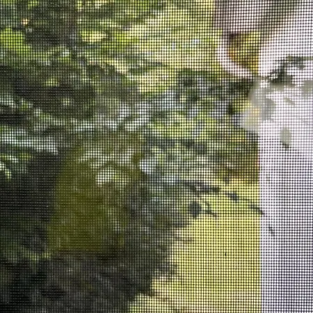 Gaestehaus Sille In - Holpe * Morsbach (Oberbergischer Kreis)