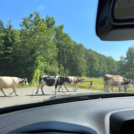 Prázdninový dům Gaestehaus Sille In - Holpe