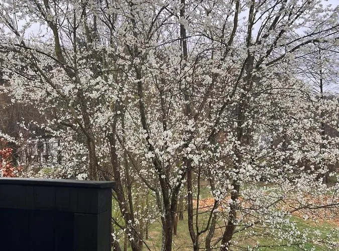 Gaestehaus Sille In - Holpe 別荘