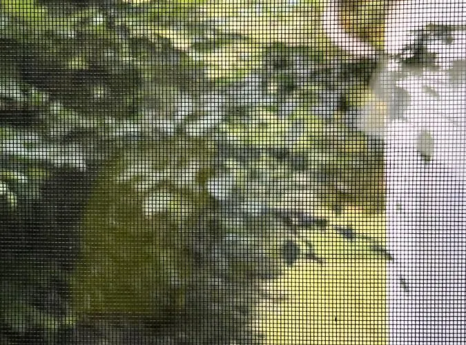 Gaestehaus Sille In - Holpe * Morsbach (Oberbergischer Kreis)