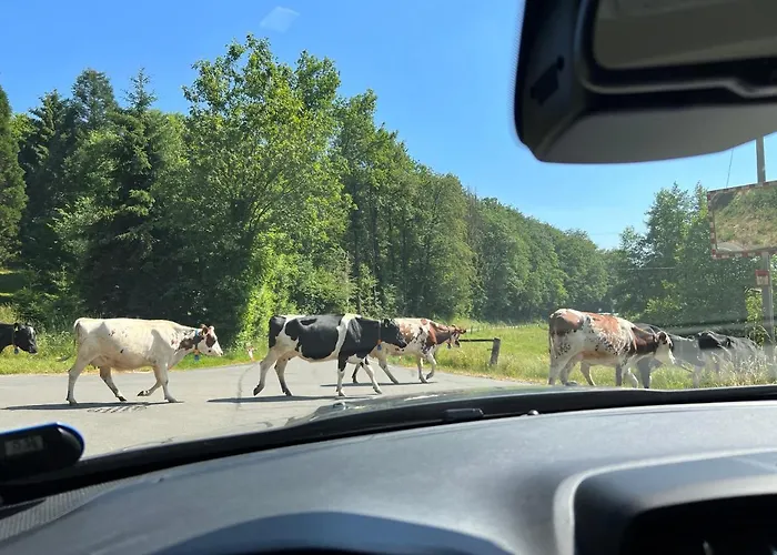 Feriehus Gaestehaus Sille In - Holpe